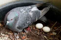 The Joy of Real Togetherness - Come Let Us Look Beyond Ourselves