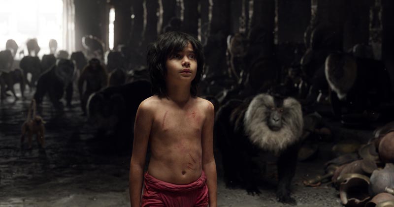 The Jungle Book: So What Makes You As You Are?