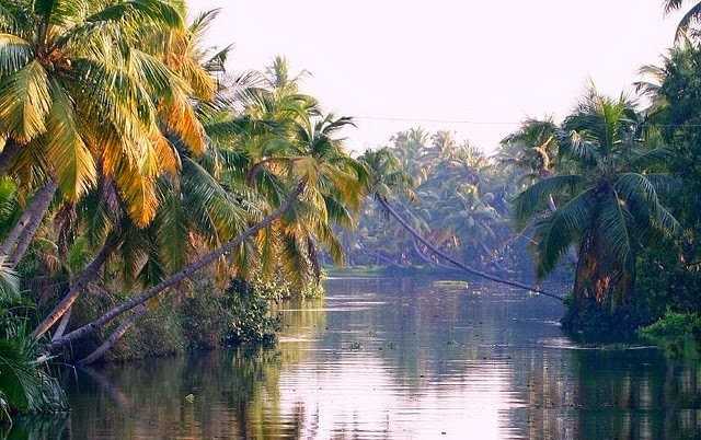 The Kerala Backwaters