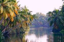 The Kerala Backwaters