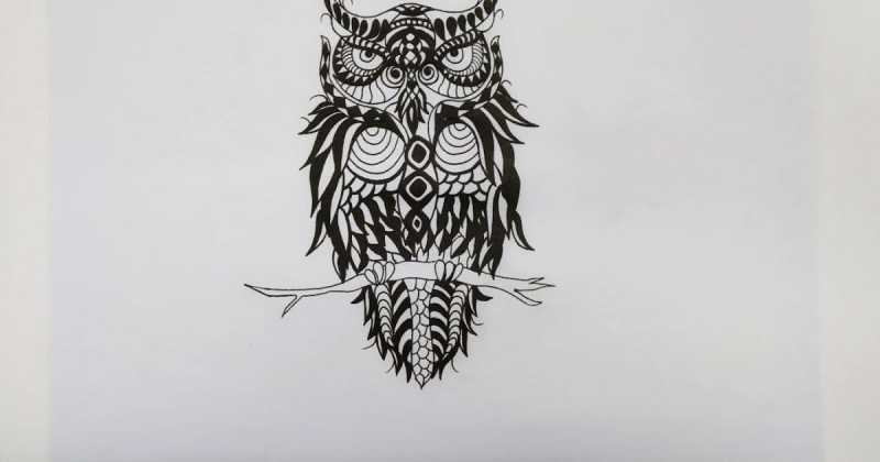 The Kingdom Of Flora N Fauna!