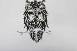 The Kingdom of Flora n Fauna!