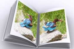 The Kingfisher Album 3