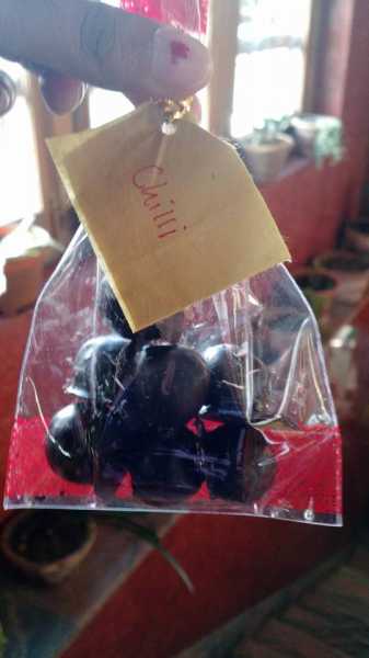 The Land Of Thundering Dragons - Bhutan Part 2