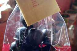 the land of thundering dragons - bhutan part 2