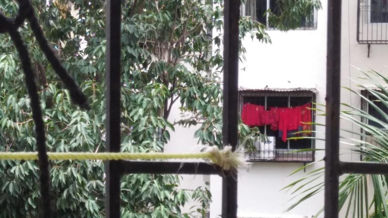 The Little Red Riding Hood