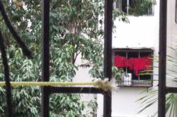 The Little Red Riding Hood