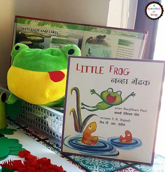 The Little Frog, Book Review And Activities
