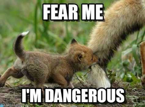 The Lizard Phenomenon