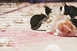 The Love That Never Was