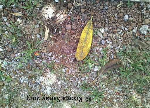 The Magic Of Outdoors