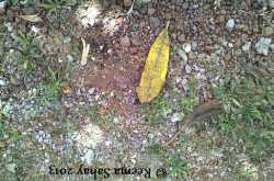 The Magic of Outdoors