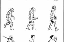 The Mayans got something right after all.