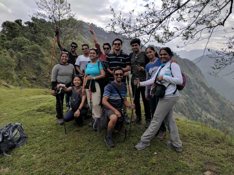 The Mirror In The Jungle