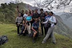 The Mirror In The Jungle