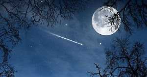 The Moon And The Star