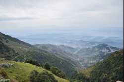 The Mountain Diaries - Mcleodganj & Dharamkot