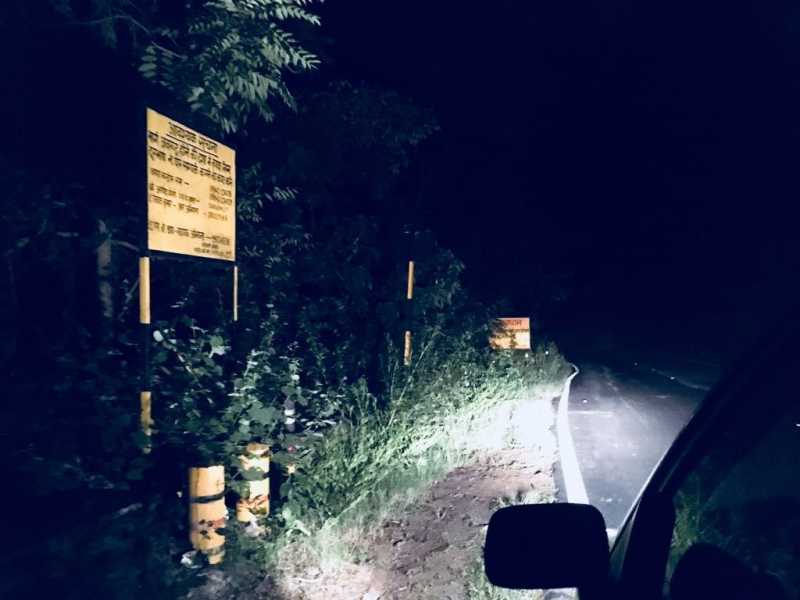 The Mysterious Cat | Blog