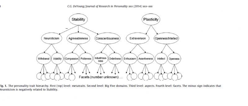 The Neural Substrates Of Personality