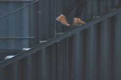 The New Formula for Success