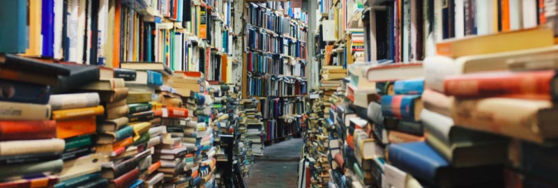 The Next Billion Indians - No Formal Education, 4800 Books Make Them Smart - Business Networking: The Key To 2X Your Sales