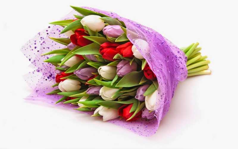 The Normal Day- A Short Story