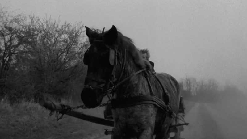 The Opening Shot Of The Turin Horse : Poetry On Celluloid » Prabhat Rayal