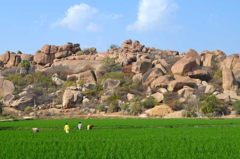 The Past In The Present