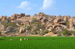 The Past in the Present