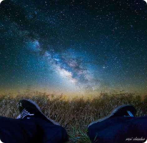 The Peace Of Wild Things