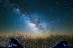 The Peace of Wild Things