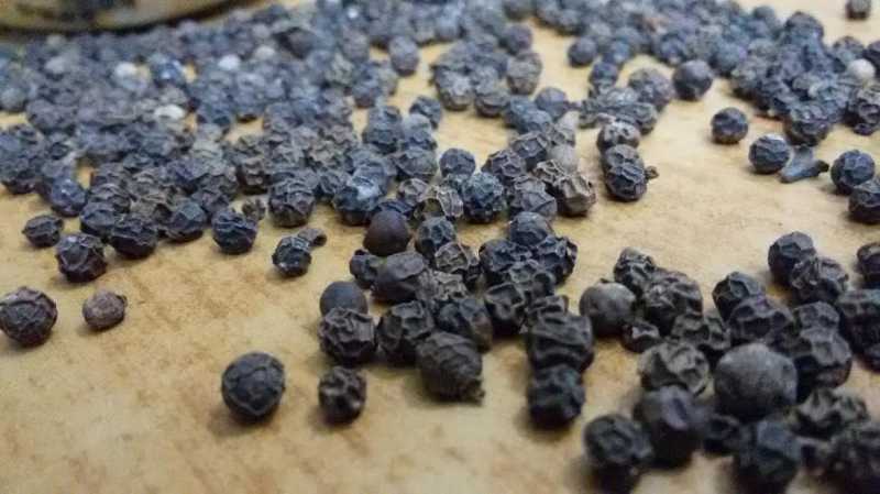 The Pepper Chronicles