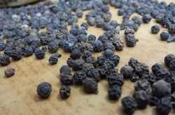 The Pepper Chronicles