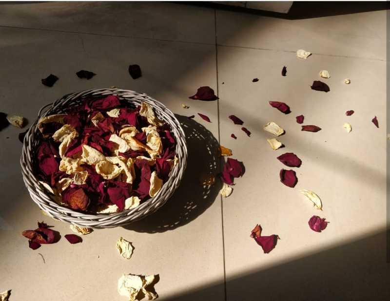 The Perfect Crime Scene