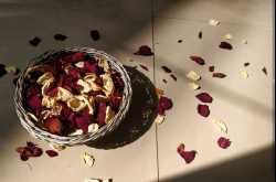 The Perfect Crime Scene