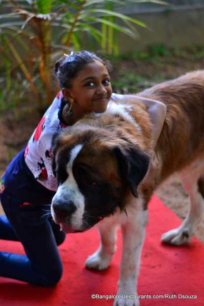 The Pet-Friendly Brunch At Lalit Ashok 