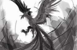 The Phoenix..