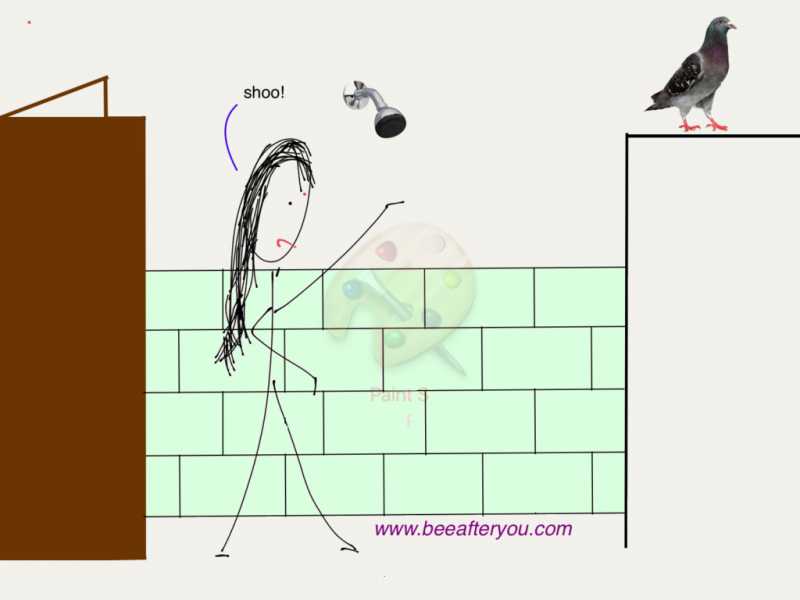 The Pigeons In The Bathroom!