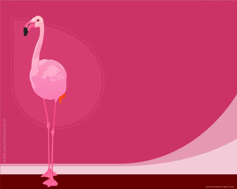 The Pink Flamingo