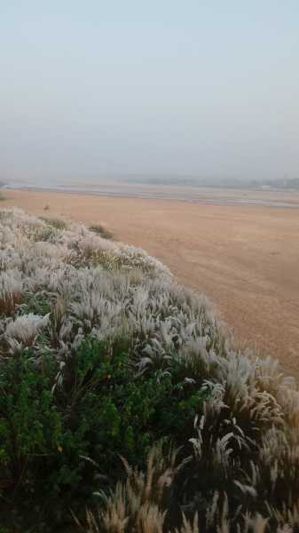 The Preparation For Durga Pujo - #bloggersdurgapujo - The Mixed Flavors - Travel Food Fun Tales