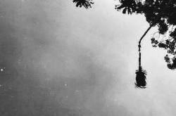 The Promise of the Rains