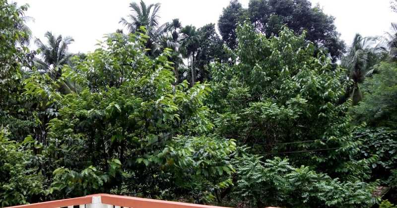 The Rains Are Here Again!