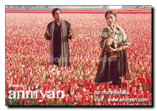 The Realty Behind Women