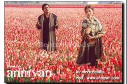 The Realty behind Women