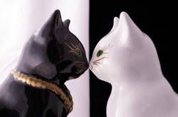 The Reconciliation of Opposites and the Politics