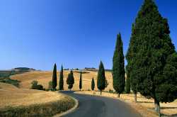 The Road to Success - Long, Never-Ending, and Winding!