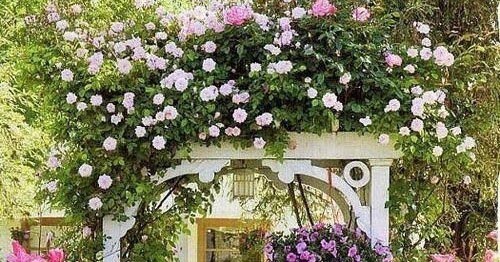 The Rose Garden #R , #AtoZchallenge