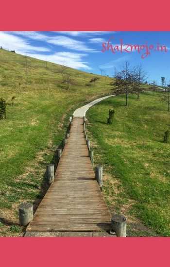 The Secret Road [ #MondayMusings ] - Shalzmojo