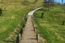 the secret road [ #mondaymusings ] - shalzmojo