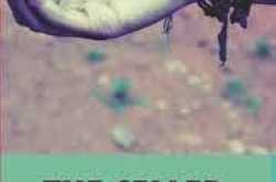 The Seller of Beliefs by Trishala D Shah